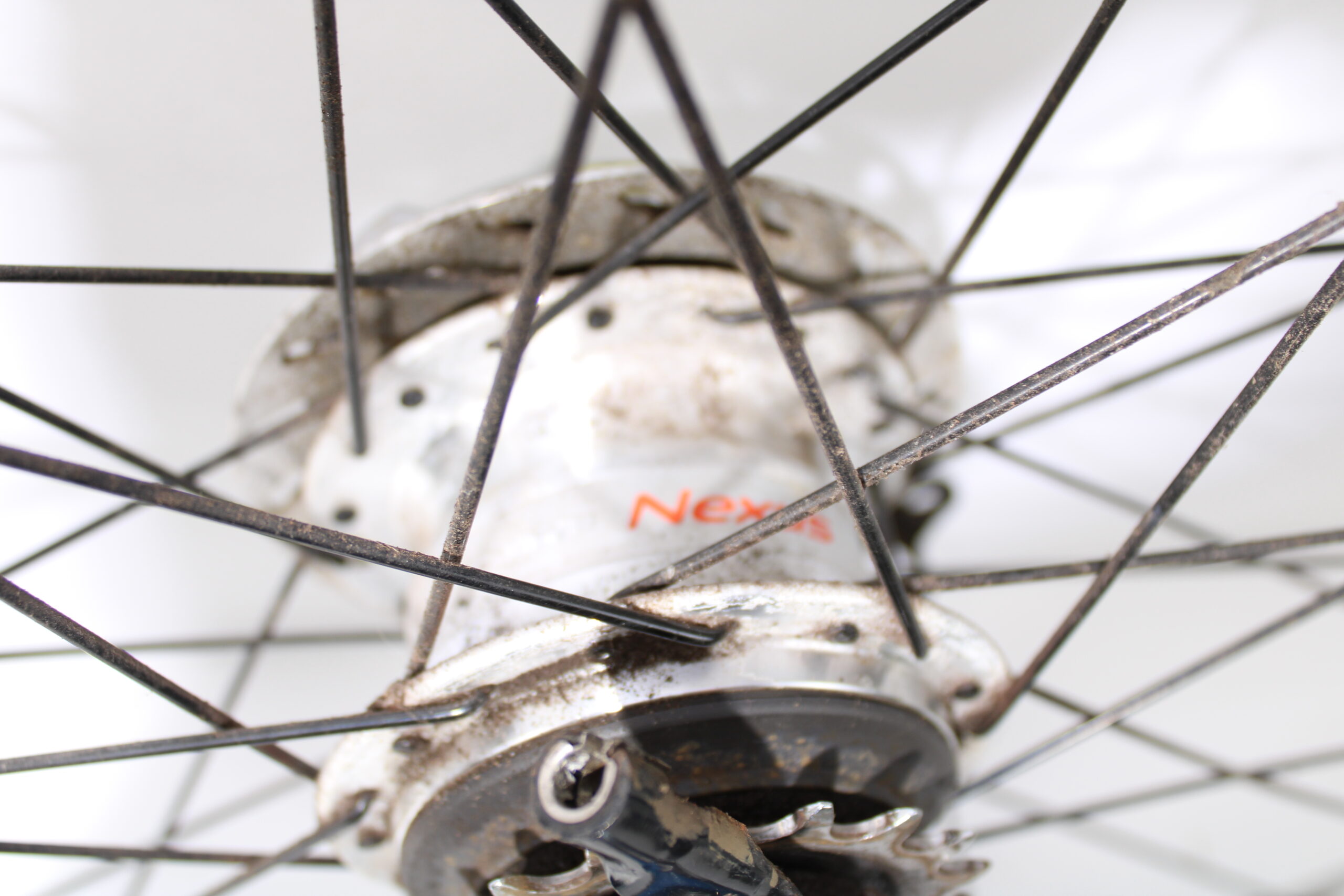 Achterwiel 28 inch 7 versnellingen | rollenbrake | Giant twist lite power - Afbeelding 4